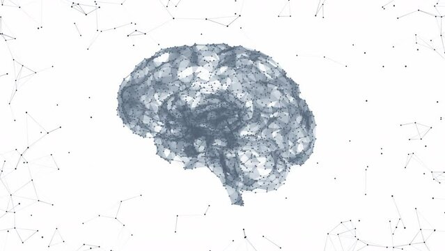Artificial Intelligence - Building Neural Network - Net shaped brain on white background 4K seamless loop	