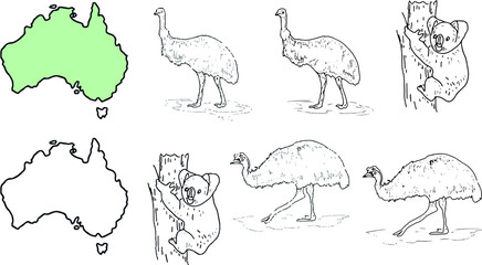 Animals Australia graphic illustration hand drawn koala ostrich emu isolated on white background set
