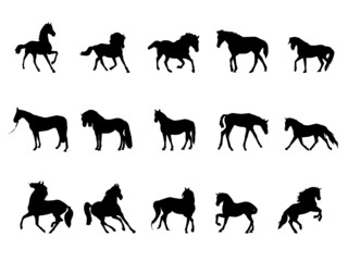 Horse Vector Art, Icons, and Graphics for Free.Rearing Horse Fine Vector Silhouette Outline Stock Vector