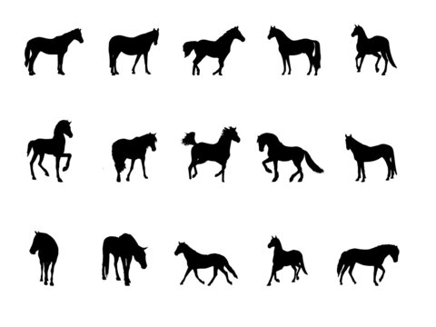 Horse icons, Art,vector.Horse black silhouette Royalty Free Vector Image.Running Horse Silhouette Black Vector Outline Stock Vector