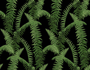 Naklejka na ściany i meble Seamless pattern with fern leaves. Tropical forest design. Botanical illustration in realistic style. Vector foliage design on a black background.