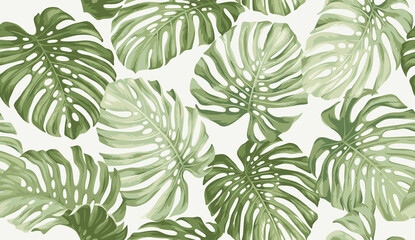 Seamless pattern with tropical monstera leaves. Realistic style. Foliage summer background. Exotic plant. Vector illustration. © Anna Sm
