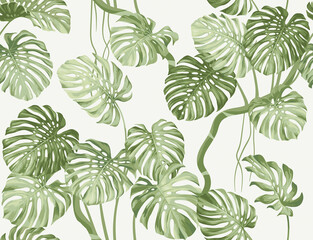Seamless pattern with tropical monstera leaves. Realistic style. Foliage summer background. Exotic plant. Vector illustration. - obrazy, fototapety, plakaty