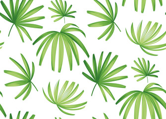 Hawaiian seamless pattern with exotic palm leaves. Tropical plants in realistic style. Foliage design. Vector botanical illustration on a white background.