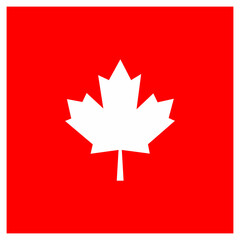 Canadian flag and maple leaf for your illustration