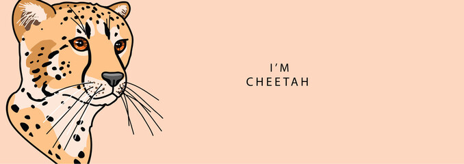 Head of a cheetah looks seriously to the side on beige background with the text © Sg.Lapchi