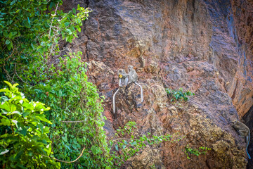 Ko Lan ist eine Insel im östlichen Teil der Zentralregion von Thailand. Ko Lan gehört zur Provinz Chonburi, Amphoe Bang Lamung und liegt im östlichen Golf von Thailand.