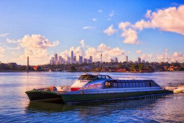 Syd Rivercat CBD