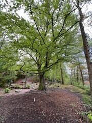 Lyraneset Park and Recreating Area Laksevåg Bergen Norway