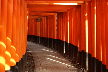 京都の伏見稲荷の千本鳥居