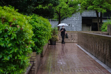 Fototapeta premium 雨の日