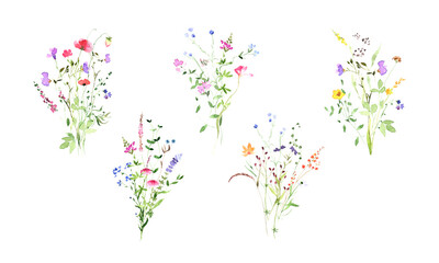 Beautiful watercolor wildflowers meadow bouquets, great summer design. Rustic floral illustration. Spring floral decor - obrazy, fototapety, plakaty
