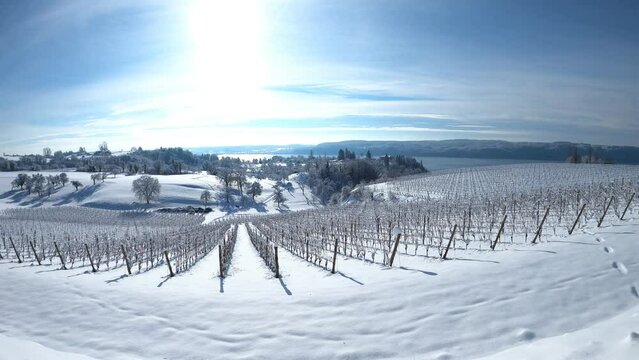 Weingut 
