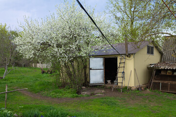 metal garage under a flowering tree Architecture, real estate.