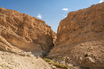 Fototapeta premium views of Selja Gorges -western Tunisia -Gafsa governorate - Tunisia