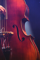 Gros plan sur une Contre basse sur scène en concert