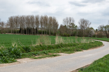 Fototapeta na wymiar Biking trail through the Flemish countryside around Zoutleeuw, Belgium