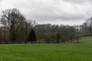 Obraz premium Green meadows and bare trees at the Dutch countryside around Mheer
