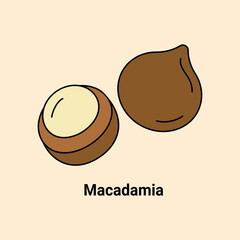 Color vector linear flat icons of macadamia nuts, isolated.