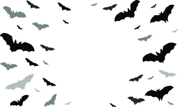 Black silhouette of bats isolated on transparent background. Traditional Halloween design element. Photo frame. Vector illustration EPS10