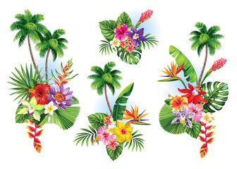 Tropical summer arrangements with palm leaves and exotic flowers. Vector illustration isolated on a white background. © Anna Sm