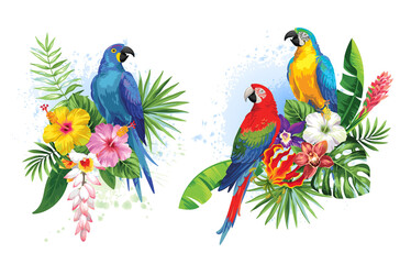 Tropical summer arrangements with birds, palm leaves and exotic flowers. Vector illustration.