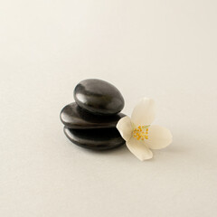 White flower jasmine and black stones on grey background.  Spa relax concept,  zen like stones...