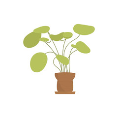 Plant in a flowerpot for the office. Isolated. Flat style.