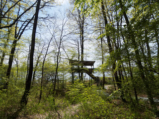 Sentier et chemin de randonnée de la réserve naturelle autour et le long du plan d'eau de Michelbach dans le Haut-Rhin en Alsace
