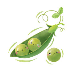 Watercolor cute peas cartoon character. Vector illustration.