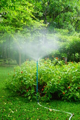 water sprinkler in the garden