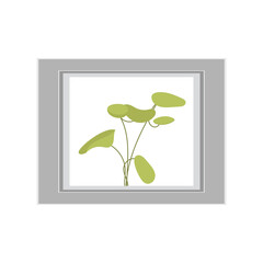 Painting with a green plant. Isolated. Flat style.