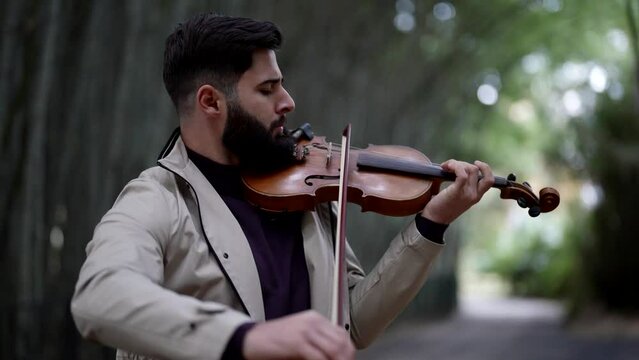 classical musical concert in garden, violinist is playing melody outdoors