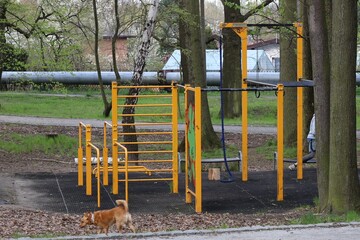 outdoor gym in the park