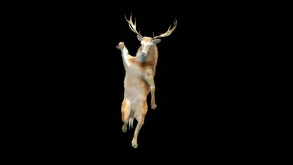 Deer Dancing CG fur 3d rendering animal realistic CGI VFX Animation Loop composition 3d mapping cartoon, Included in the end of the clip with Alpha matte. - Powered by Adobe