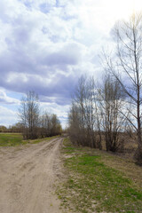 Fototapeta na wymiar Rural landscape on a sunny day. Country dirt road in the fields. Early spring. Vertical photo