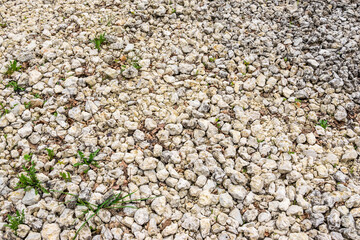 Rubble with trash sprouted with green grass