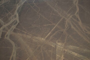 nasca 2