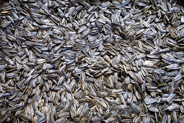   pile of sunflower seeds closeup