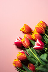 Tulip FLowers on Pink Background. Card Mockup