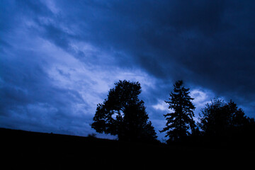 trees on hill during storm at night