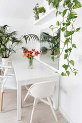 The bright interior of the apartment of a lover of potted flowers. White table with chairs. On the table, a glass vase with a bouquet of red parrot tulips.  - 504634137