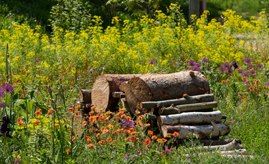 Bug hotel, made of a pile of logs, with colourful flowers growing in the surrounding meadow.