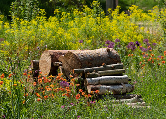 Bug hotel, made of a pile of logs, with colourful flowers growing in the surrounding meadow.