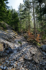 Wanderweg im Gebirge unterhalb der Baumgrenze, Nationalpark Gesäuse, Steiermark