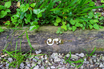 Número 5, chapa metálica sobre tronco