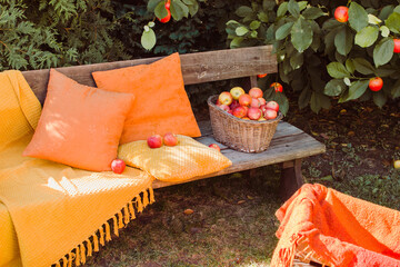 Basket with apples on the bench