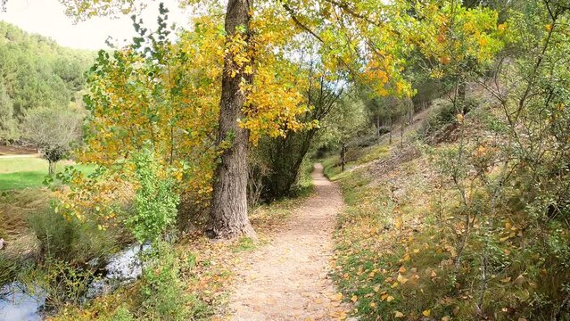 Senda del Rio pedestrian path next to the hermitage of san bartolom&eacute; at Ca&ntilde;on Del Rio Lobos Natural Park, province of Soria, Castile and Leon, Spain