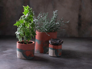 Decor interior. Gypsum, concrete products. Handmade pots made for plants.