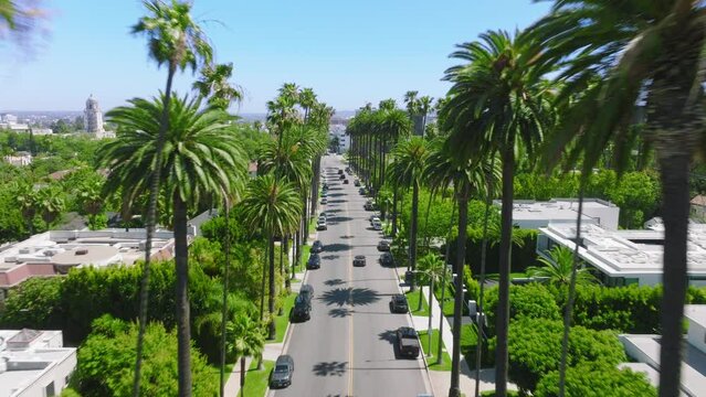 Aerial footage of the main boulevard overpassing the downtown of LA. Gorgeous scenery of lush palm trees along beautiful street in residential area with high end property. High quality 4k footage